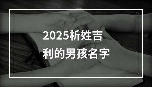 2025析姓吉利的男孩名字