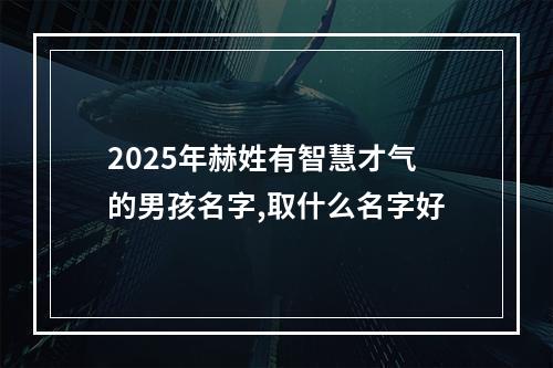 2025年赫姓有智慧才气的男孩名字,取什么名字好