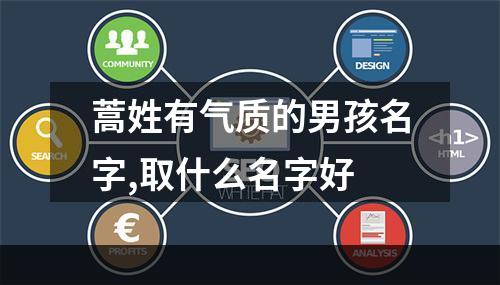 蒿姓有气质的男孩名字,取什么名字好