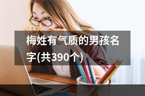 梅姓有气质的男孩名字(共390个)