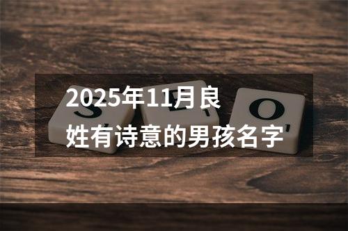 2025年11月良姓有诗意的男孩名字