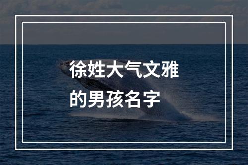 徐姓大气文雅的男孩名字