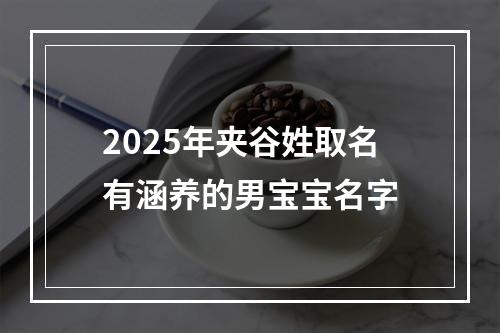 2025年夹谷姓取名有涵养的男宝宝名字