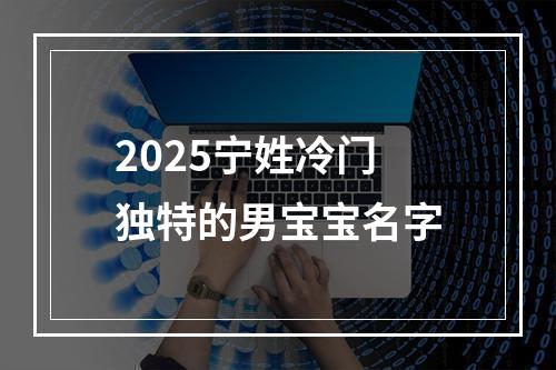 2025宁姓冷门独特的男宝宝名字
