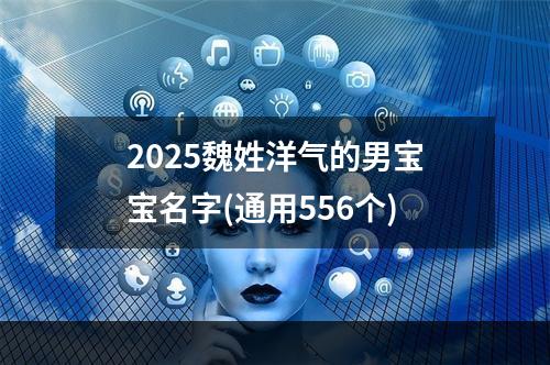 2025魏姓洋气的男宝宝名字(通用556个)