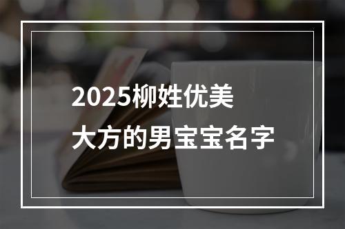 2025柳姓优美大方的男宝宝名字