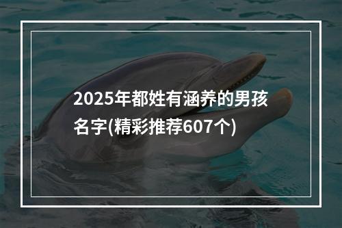 2025年都姓有涵养的男孩名字(精彩推荐607个)