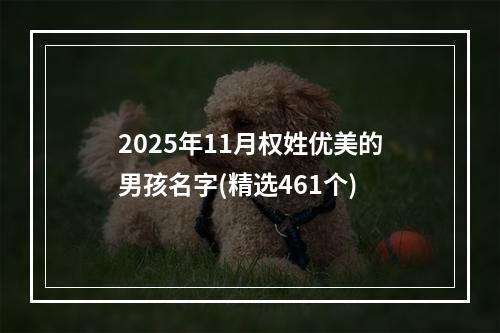 2025年11月权姓优美的男孩名字(精选461个)