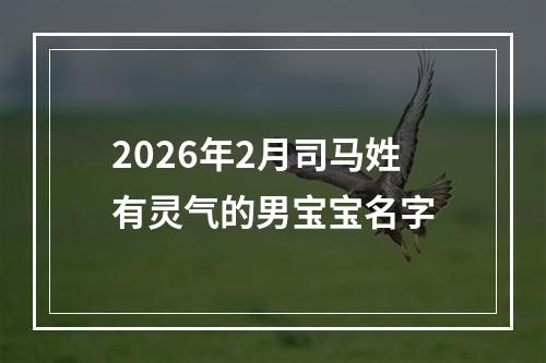 2026年2月司马姓有灵气的男宝宝名字