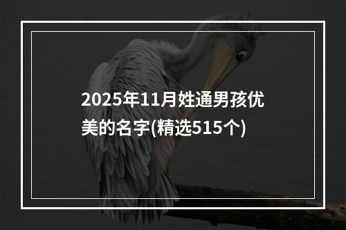 2025年11月姓通男孩优美的名字(精选515个)