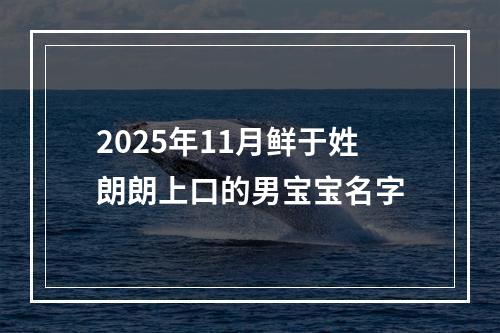 2025年11月鲜于姓朗朗上口的男宝宝名字