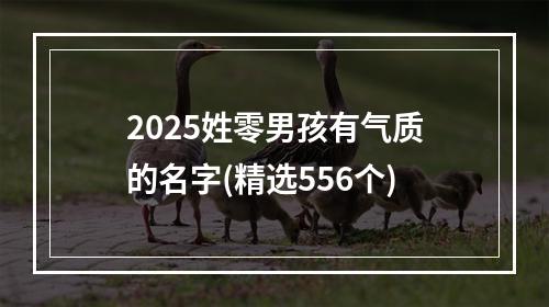2025姓零男孩有气质的名字(精选556个)