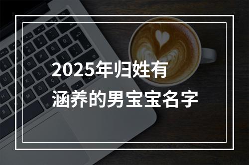 2025年归姓有涵养的男宝宝名字