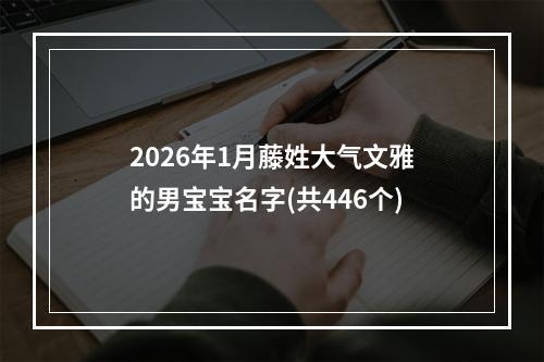 2026年1月藤姓大气文雅的男宝宝名字(共446个)