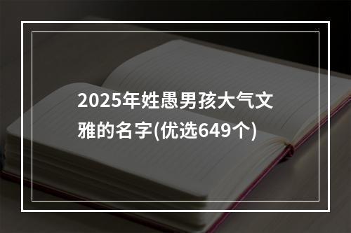2025年姓愚男孩大气文雅的名字(优选649个)
