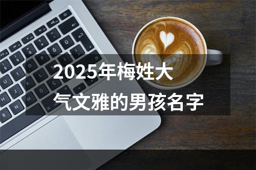 2025年梅姓大气文雅的男孩名字