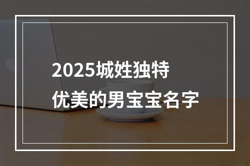 2025城姓独特优美的男宝宝名字