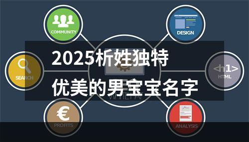 2025析姓独特优美的男宝宝名字