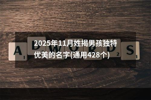 2025年11月姓揭男孩独特优美的名字(通用428个)