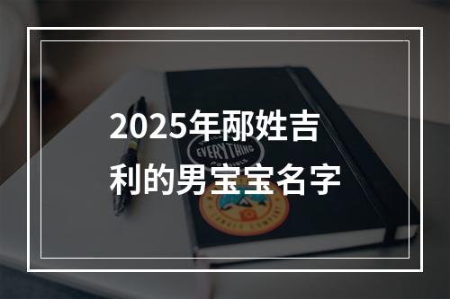 2025年邴姓吉利的男宝宝名字