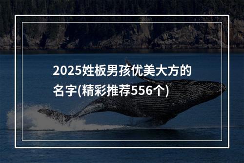 2025姓板男孩优美大方的名字(精彩推荐556个)