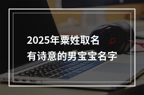 2025年粟姓取名有诗意的男宝宝名字