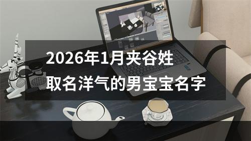 2026年1月夹谷姓取名洋气的男宝宝名字