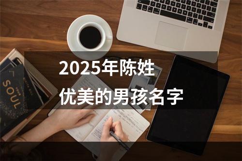 2025年陈姓优美的男孩名字