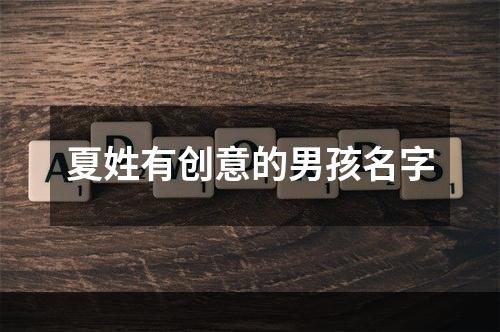 夏姓有创意的男孩名字