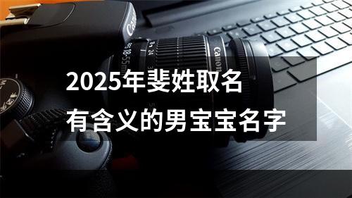 2025年斐姓取名有含义的男宝宝名字
