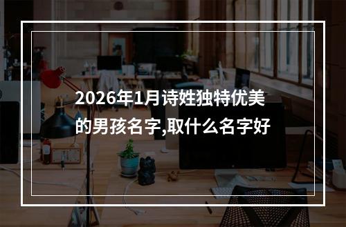 2026年1月诗姓独特优美的男孩名字,取什么名字好