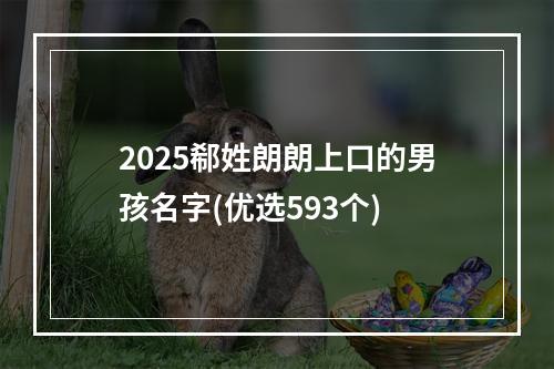 2025郗姓朗朗上口的男孩名字(优选593个)