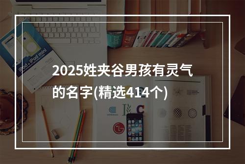 2025姓夹谷男孩有灵气的名字(精选414个)