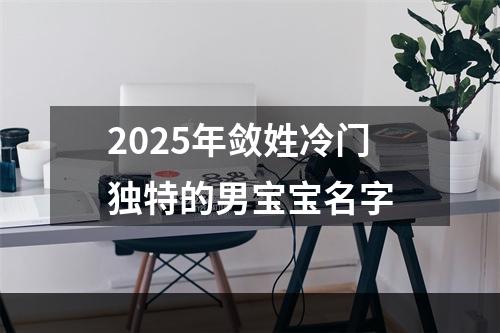 2025年敛姓冷门独特的男宝宝名字