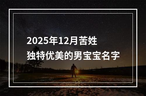2025年12月苦姓独特优美的男宝宝名字
