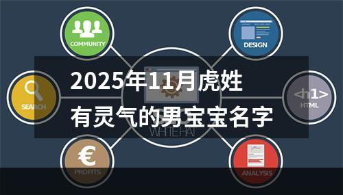 2025年11月虎姓有灵气的男宝宝名字