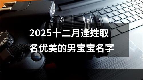 2025十二月逄姓取名优美的男宝宝名字