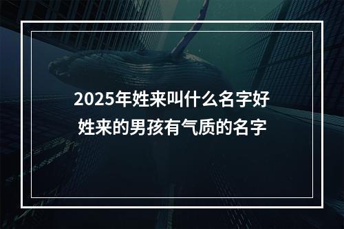 2025年姓来叫什么名字好 姓来的男孩有气质的名字