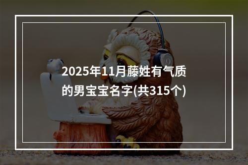 2025年11月藤姓有气质的男宝宝名字(共315个)