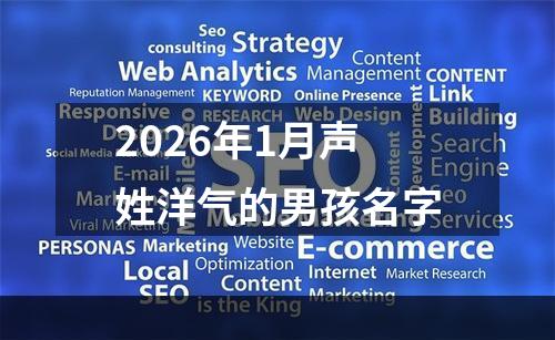 2026年1月声姓洋气的男孩名字
