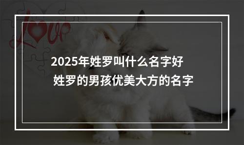 2025年姓罗叫什么名字好 姓罗的男孩优美大方的名字