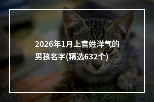 2026年1月上官姓洋气的男孩名字(精选632个)