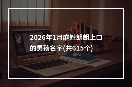 2026年1月麻姓朗朗上口的男孩名字(共615个)