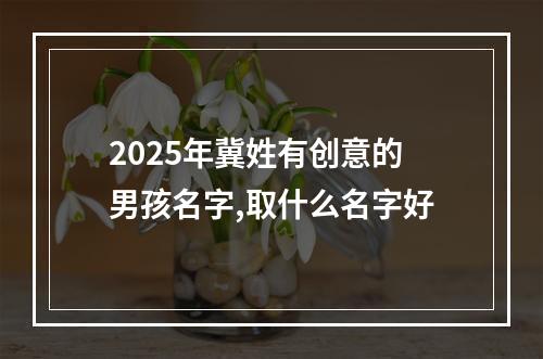 2025年冀姓有创意的男孩名字,取什么名字好