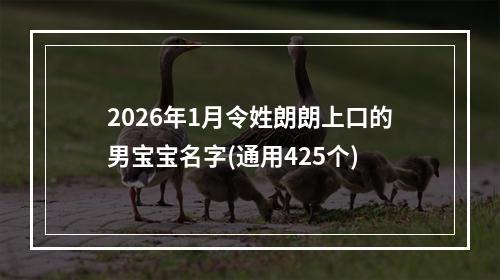 2026年1月令姓朗朗上口的男宝宝名字(通用425个)