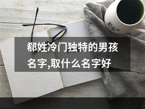 郗姓冷门独特的男孩名字,取什么名字好