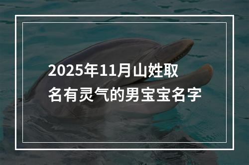2025年11月山姓取名有灵气的男宝宝名字