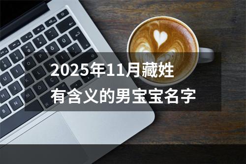 2025年11月藏姓有含义的男宝宝名字