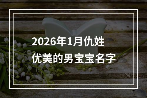 2026年1月仇姓优美的男宝宝名字