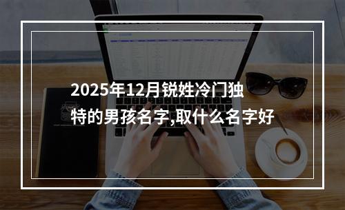 2025年12月锐姓冷门独特的男孩名字,取什么名字好